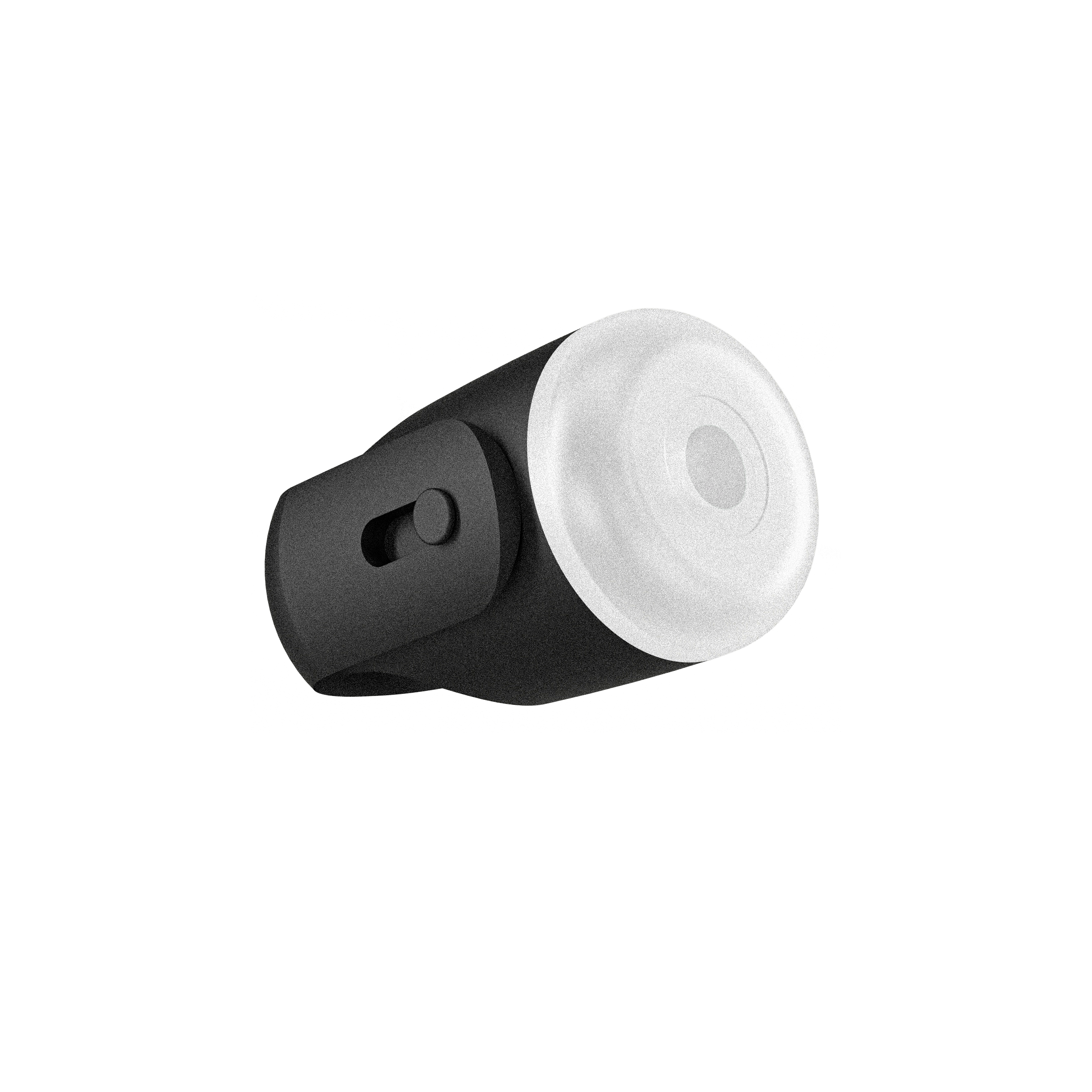 Dog-Walking LED